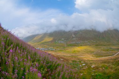 Trovit Platosu, Türkiye 'nin Rize ilçesine 64 km uzaklıktaki Amlhemin ilçesinde bulunan bir platodur. Trovit muhteşem atmosferiyle ziyaretçilerini büyülüyor..