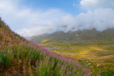 Trovit Platosu, Türkiye 'nin Rize ilçesine 64 km uzaklıktaki Amlhemin ilçesinde bulunan bir platodur. Trovit muhteşem atmosferiyle ziyaretçilerini büyülüyor..