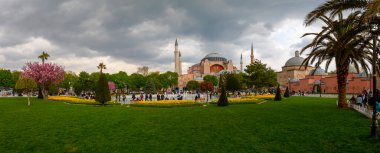 Lale festivali sırasında İstanbul 'da laleler, Ayasofya ile Sultanahmet bölgesinde