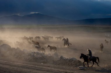 Bedava atlar, gün batımında doğaya bırakılmış. Kapadokya, Türkiye