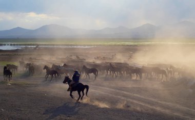 Bedava atlar, gün batımında doğaya bırakılmış. Kapadokya, Türkiye