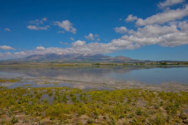 Adilcevaz, Bitlis 'teki Van Lake yakınlarındaki mezar taşlarıyla Seljuks döneminden kalma eski mezarlık