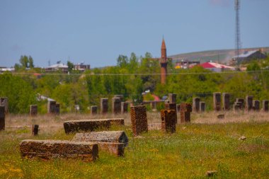 İlkbaharda Ahlat Seljuk Meydanı Tarihi Mezarlığı