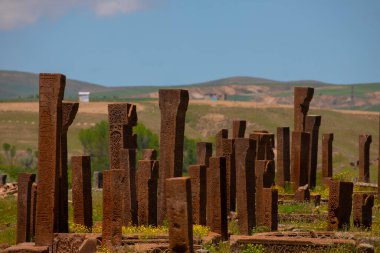 İlkbaharda Ahlat Seljuk Meydanı Tarihi Mezarlığı