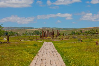 İlkbaharda Ahlat Seljuk Meydanı Tarihi Mezarlığı