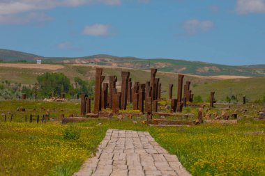 İlkbaharda Ahlat Seljuk Meydanı Tarihi Mezarlığı
