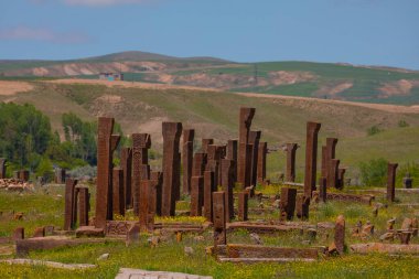 İlkbaharda Ahlat Seljuk Meydanı Tarihi Mezarlığı