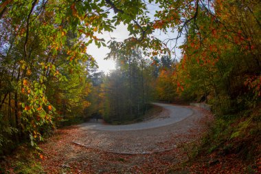 Yedigoller or Seven Lakes National Park in Turkey