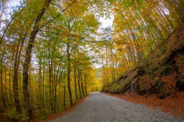 Yedigoller or Seven Lakes National Park in Turkey