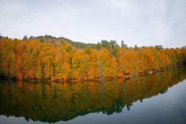 Yedigoller or Seven Lakes National Park in Turkey