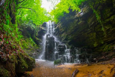 Ormanda ilkbahar manzarası ve muhteşem şelale. Dagpinar Milli Parkı, Bursa, Türkiye