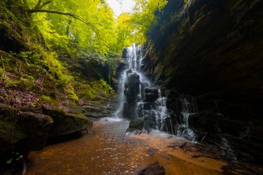 Ormanda ilkbahar manzarası ve muhteşem şelale. Dagpinar Milli Parkı, Bursa, Türkiye