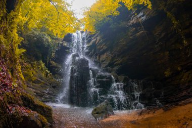 Ormanda ilkbahar manzarası ve muhteşem şelale. Dagpinar Milli Parkı, Bursa, Türkiye