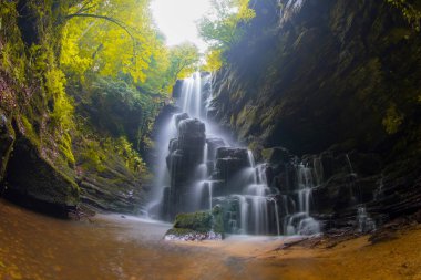 Ormanda ilkbahar manzarası ve muhteşem şelale. Dagpinar Milli Parkı, Bursa, Türkiye