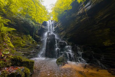Ormanda ilkbahar manzarası ve muhteşem şelale. Dagpinar Milli Parkı, Bursa, Türkiye
