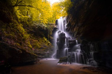 Ormanda ilkbahar manzarası ve muhteşem şelale. Dagpinar Milli Parkı, Bursa, Türkiye