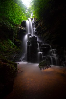 Ormanda ilkbahar manzarası ve muhteşem şelale. Dagpinar Milli Parkı, Bursa, Türkiye