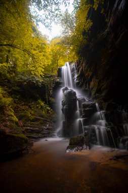 Ormanda ilkbahar manzarası ve muhteşem şelale. Dagpinar Milli Parkı, Bursa, Türkiye