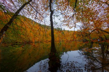 Yedigoller or Seven Lakes National Park in Turkey