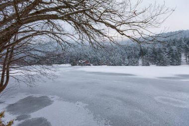 Golcuk Ulusal Parkı, Kış Sezonu, Golcuk Bolu, Türkiye