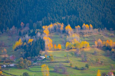 Artvin 'in SavSat ilçesi sonbaharda ziyaretçilerine harika manzaralar sunuyor.