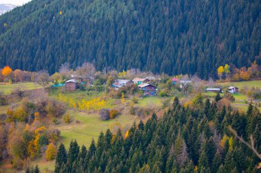 Artvin 'in SavSat ilçesi sonbaharda ziyaretçilerine harika manzaralar sunuyor.