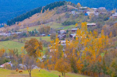 Artvin 'in SavSat ilçesi sonbaharda ziyaretçilerine harika manzaralar sunuyor.