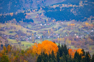 Artvin 'in SavSat ilçesi sonbaharda ziyaretçilerine harika manzaralar sunuyor.