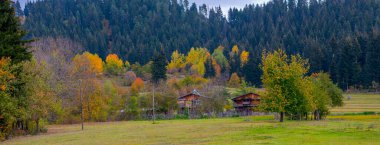 Türkiye 'nin Kastamonu kentindeki Kure Dağları' nın yamaçlarındaki manzara güzel sonbahar doğası
