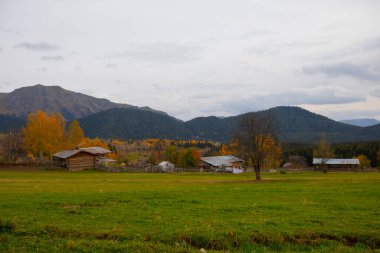 Türkiye 'nin Kastamonu kentindeki Kure Dağları' nın yamaçlarındaki manzara güzel sonbahar doğası