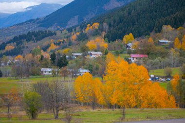 Türkiye 'nin Kastamonu kentindeki Kure Dağları' nın yamaçlarındaki manzara güzel sonbahar doğası