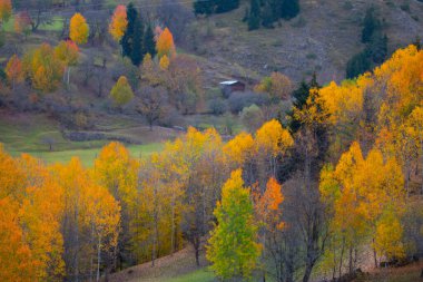 Türkiye 'nin Kastamonu kentindeki Kure Dağları' nın yamaçlarındaki manzara güzel sonbahar doğası