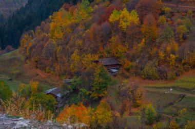 Türkiye 'nin Kastamonu kentindeki Kure Dağları' nın yamaçlarındaki manzara güzel sonbahar doğası