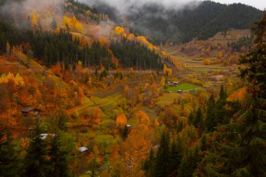 Türkiye 'nin Kastamonu kentindeki Kure Dağları' nın yamaçlarındaki manzara güzel sonbahar doğası