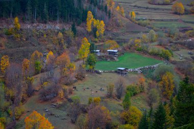 Türkiye 'nin Kastamonu kentindeki Kure Dağları' nın yamaçlarındaki manzara güzel sonbahar doğası
