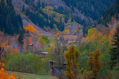 Türkiye 'nin Kastamonu kentindeki Kure Dağları' nın yamaçlarındaki manzara güzel sonbahar doğası