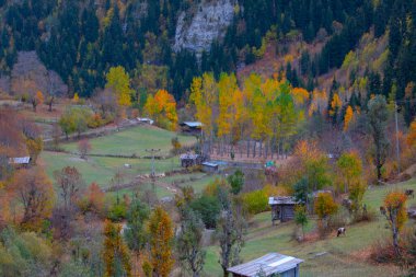 Türkiye 'nin Kastamonu kentindeki Kure Dağları' nın yamaçlarındaki manzara güzel sonbahar doğası