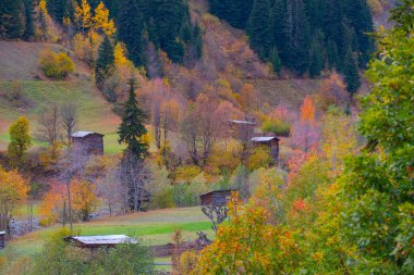 Türkiye 'nin Kastamonu kentindeki Kure Dağları' nın yamaçlarındaki manzara güzel sonbahar doğası