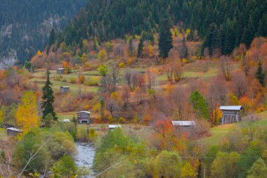 Türkiye 'nin Kastamonu kentindeki Kure Dağları' nın yamaçlarındaki manzara güzel sonbahar doğası