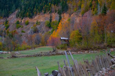 Türkiye 'nin Kastamonu kentindeki Kure Dağları' nın yamaçlarındaki manzara güzel sonbahar doğası