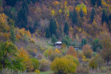 Savsat Türkiye 'de sonbahar renkleri