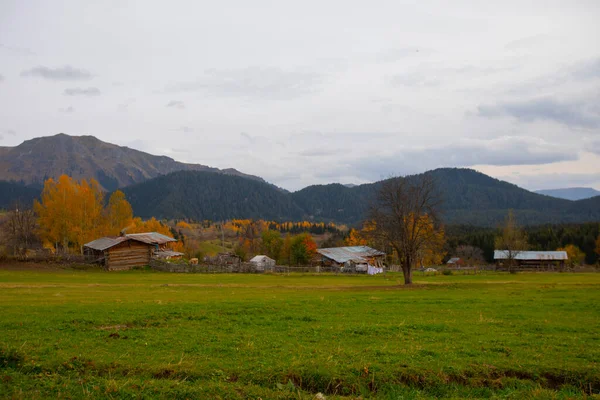 Türkiye 'nin Kastamonu kentindeki Kure Dağları' nın yamaçlarındaki manzara güzel sonbahar doğası