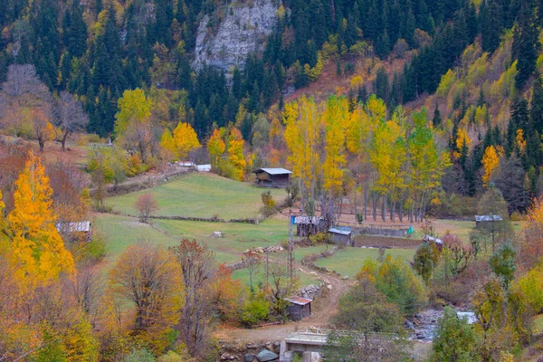 Türkiye 'nin Kastamonu kentindeki Kure Dağları' nın yamaçlarındaki manzara güzel sonbahar doğası