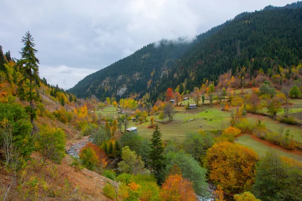 Türkiye 'nin Kastamonu kentindeki Kure Dağları' nın yamaçlarındaki manzara güzel sonbahar doğası