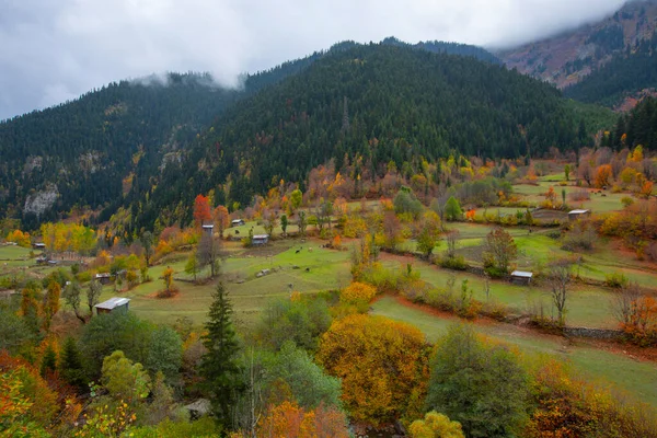 Türkiye 'nin Kastamonu kentindeki Kure Dağları' nın yamaçlarındaki manzara güzel sonbahar doğası