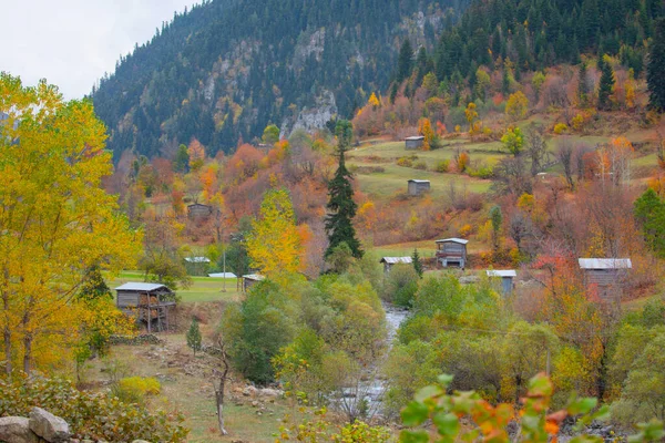 Türkiye 'nin Kastamonu kentindeki Kure Dağları' nın yamaçlarındaki manzara güzel sonbahar doğası