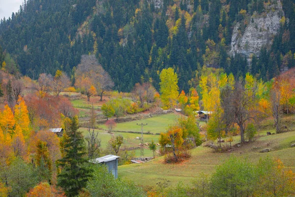Türkiye 'nin Kastamonu kentindeki Kure Dağları' nın yamaçlarındaki manzara güzel sonbahar doğası