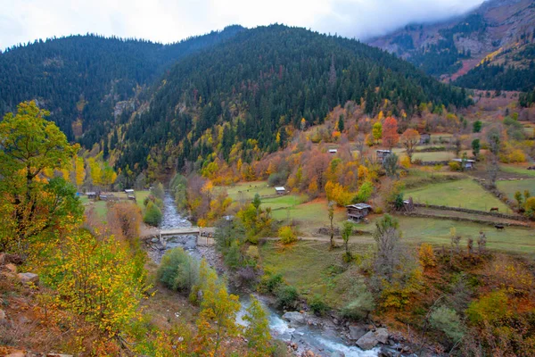 Türkiye 'nin Kastamonu kentindeki Kure Dağları' nın yamaçlarındaki manzara güzel sonbahar doğası