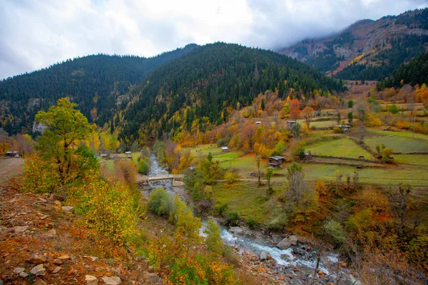 Türkiye 'nin Kastamonu kentindeki Kure Dağları' nın yamaçlarındaki manzara güzel sonbahar doğası