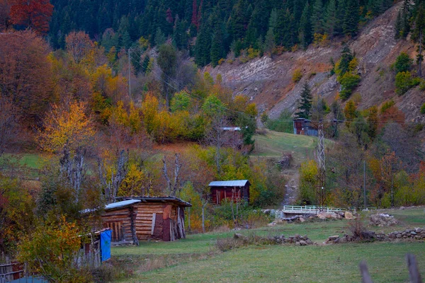 Türkiye 'nin Kastamonu kentindeki Kure Dağları' nın yamaçlarındaki manzara güzel sonbahar doğası